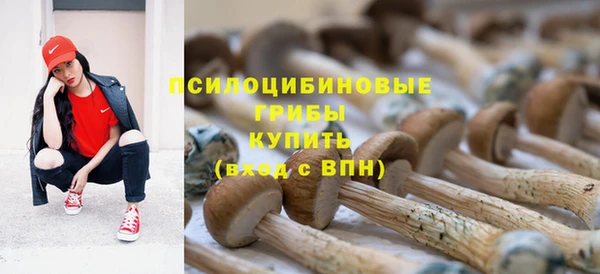 твердый Алексин