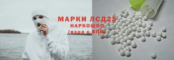 индика Снежногорск