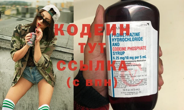 индика Снежногорск